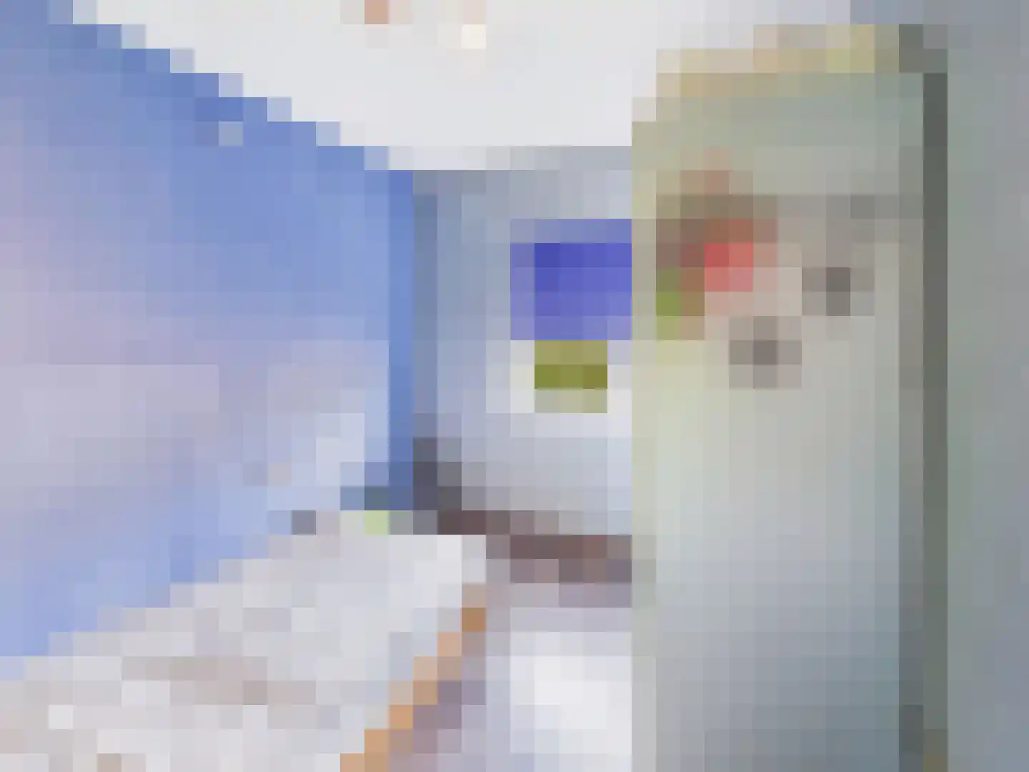 Julianastraat 36 Hoek thumbnail 21