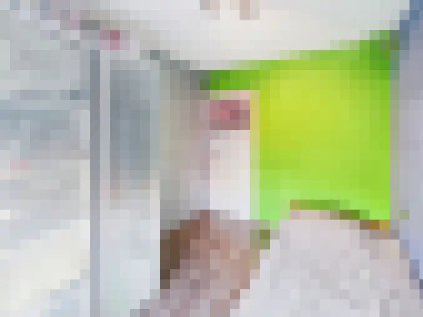 Julianastraat 36 Hoek thumbnail 22