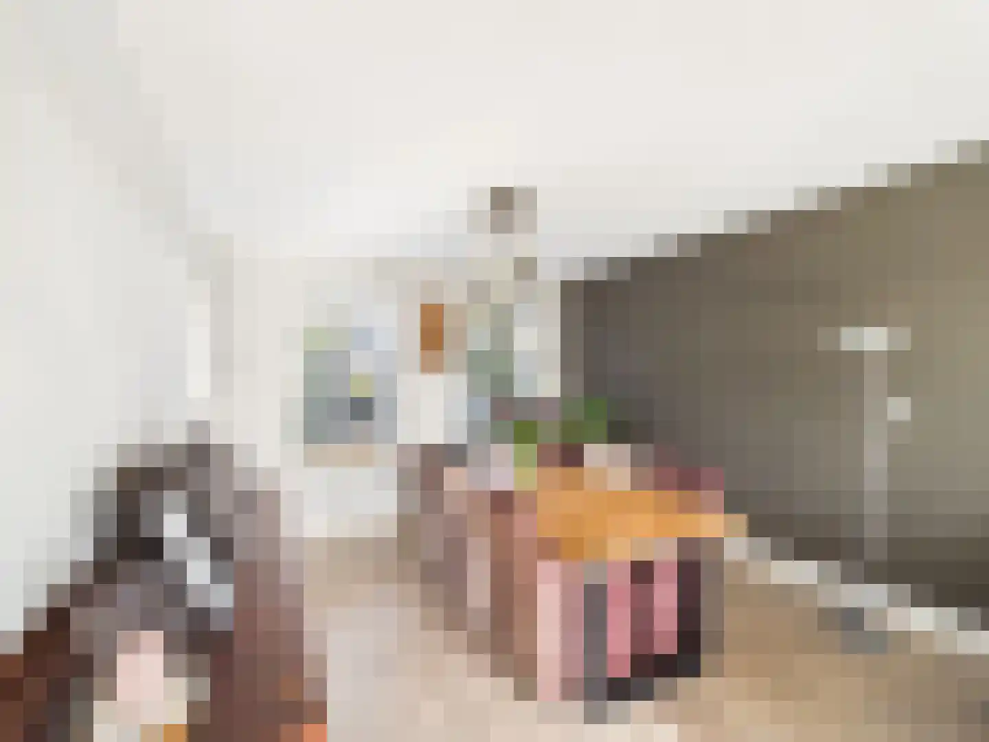 Julianastraat 36 Hoek thumbnail 6
