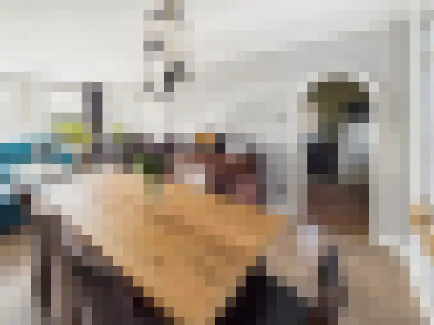Julianastraat 36 Hoek thumbnail 9