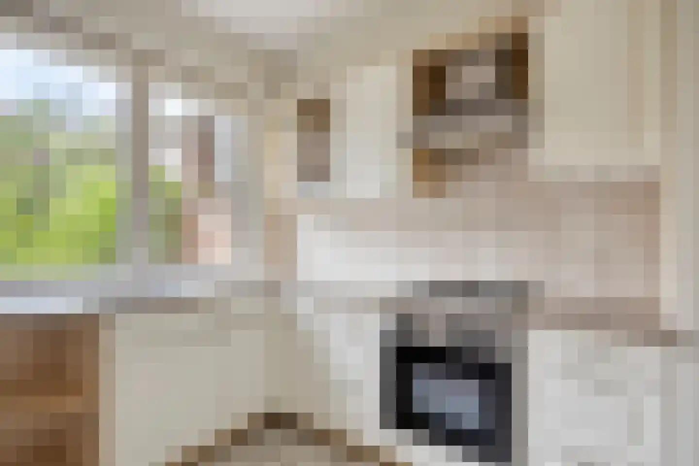 Julianastraat 37 Drunen thumbnail 10