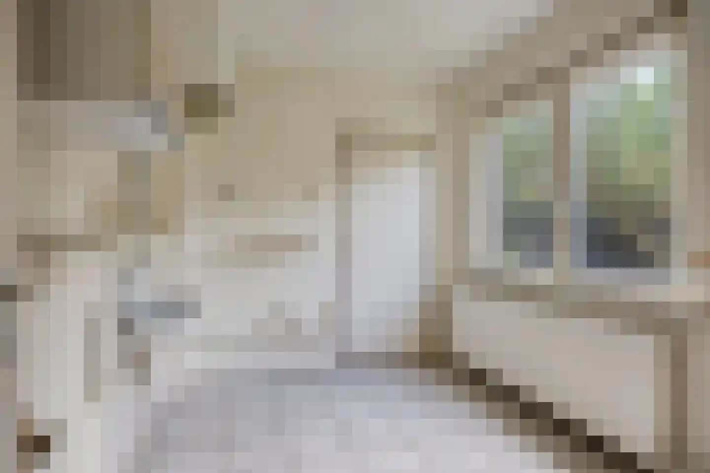 Julianastraat 37 Drunen thumbnail 12