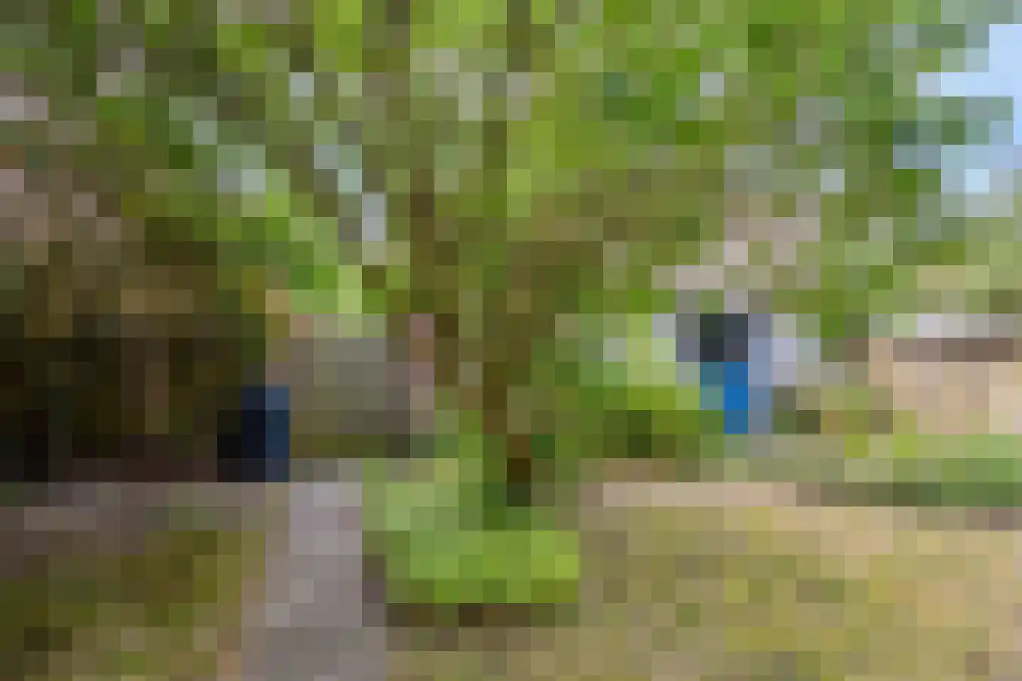 Julianastraat 37 Drunen thumbnail 25