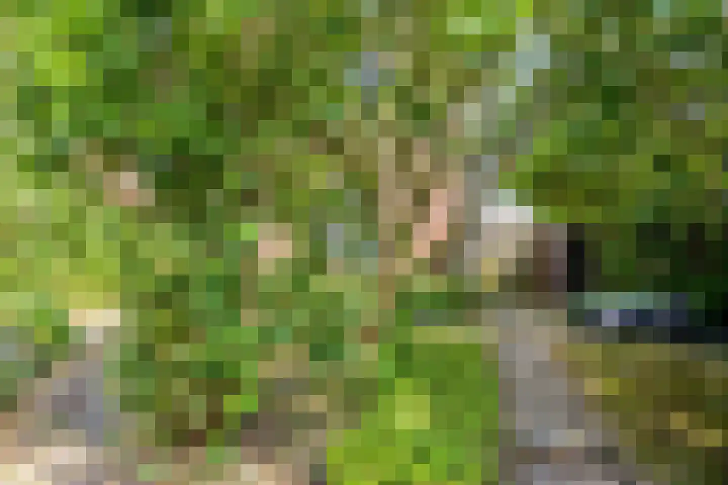 Julianastraat 37 Drunen thumbnail 26