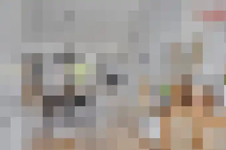 Julianastraat 37 E Hooge Zwaluwe thumbnail 12