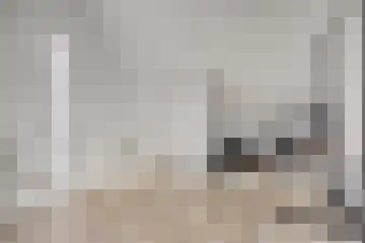 Julianastraat 37 E Hooge Zwaluwe thumbnail 24