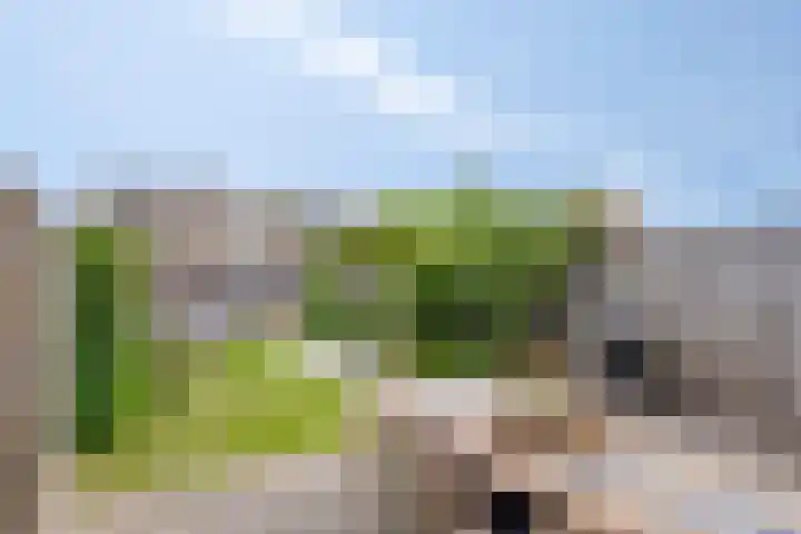 Julianastraat 37 E Hooge Zwaluwe thumbnail 26