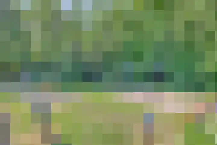 Julianastraat 37 E Hooge Zwaluwe thumbnail 33