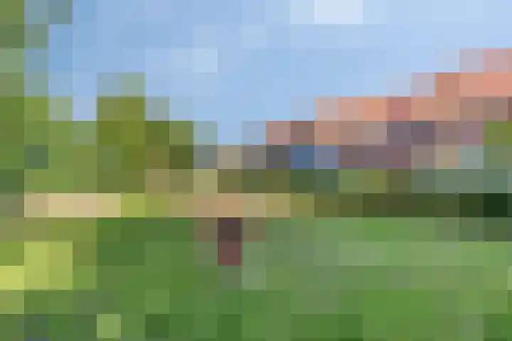Julianastraat 37 E Hooge Zwaluwe thumbnail 35