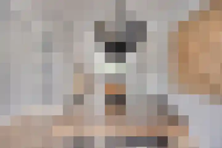 Julianastraat 37 E Hooge Zwaluwe thumbnail 8