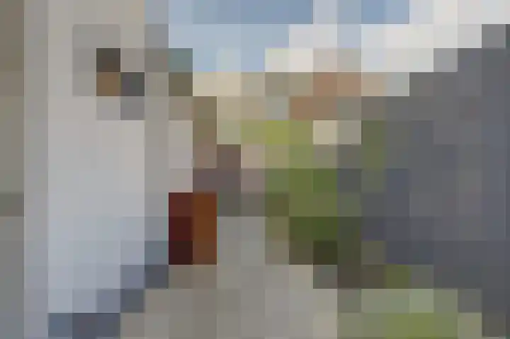 Julianastraat 37 Rotterdam thumbnail 11