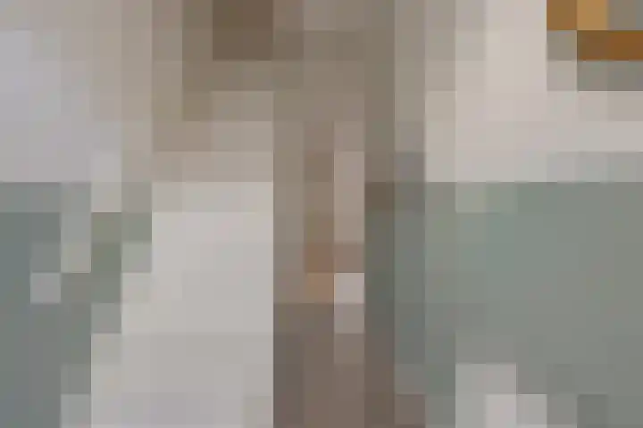 Julianastraat 37 Rotterdam thumbnail 6