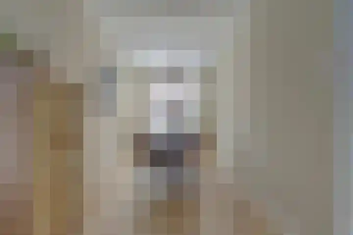 Julianastraat 37 Rotterdam thumbnail 8
