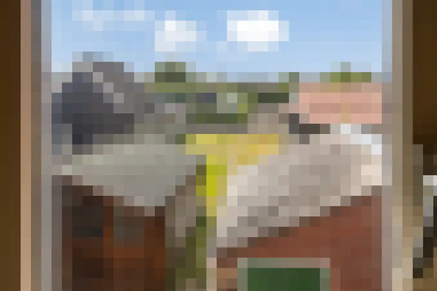 Julianastraat 37 Sint-Annaland thumbnail 26