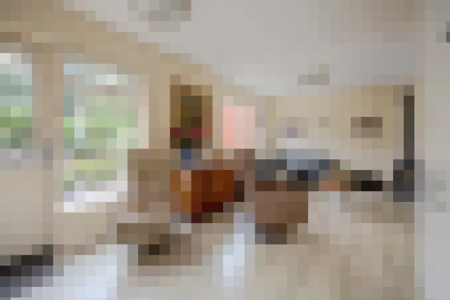 Julianastraat 37 Wehl thumbnail 10