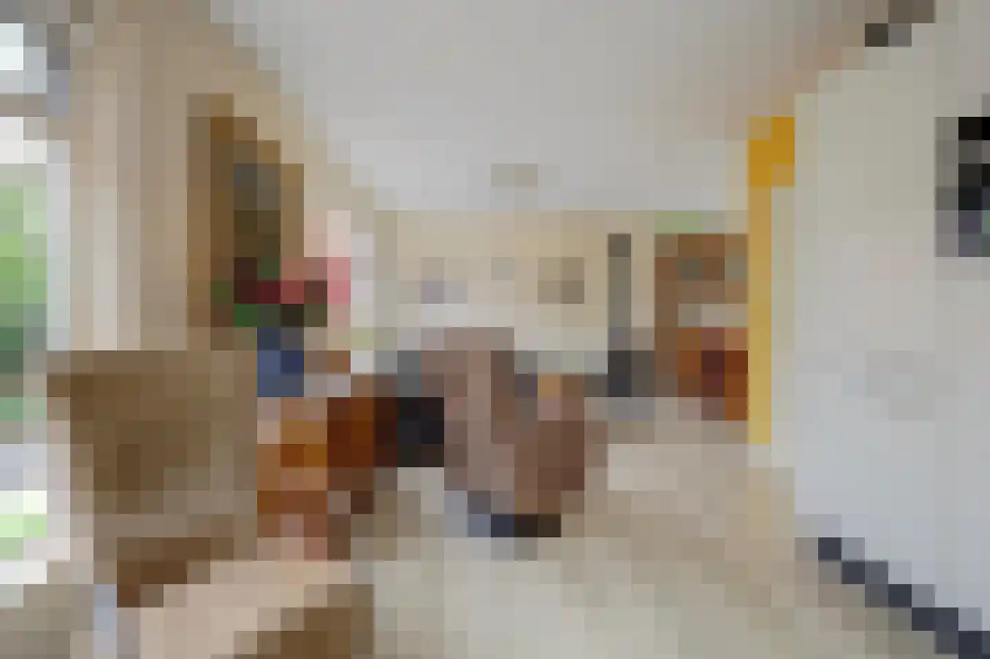 Julianastraat 37 Wehl thumbnail 11