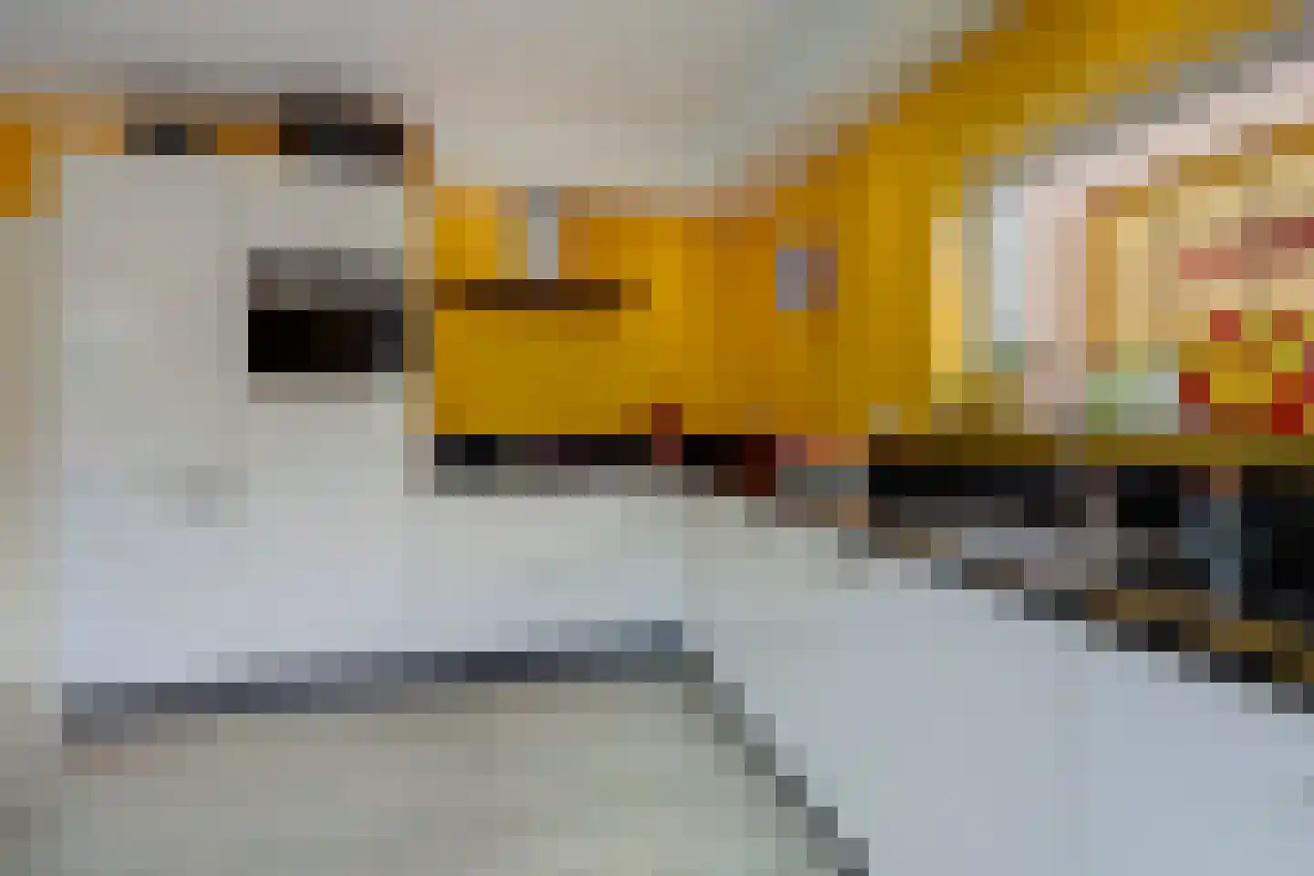Julianastraat 37 Wehl thumbnail 17