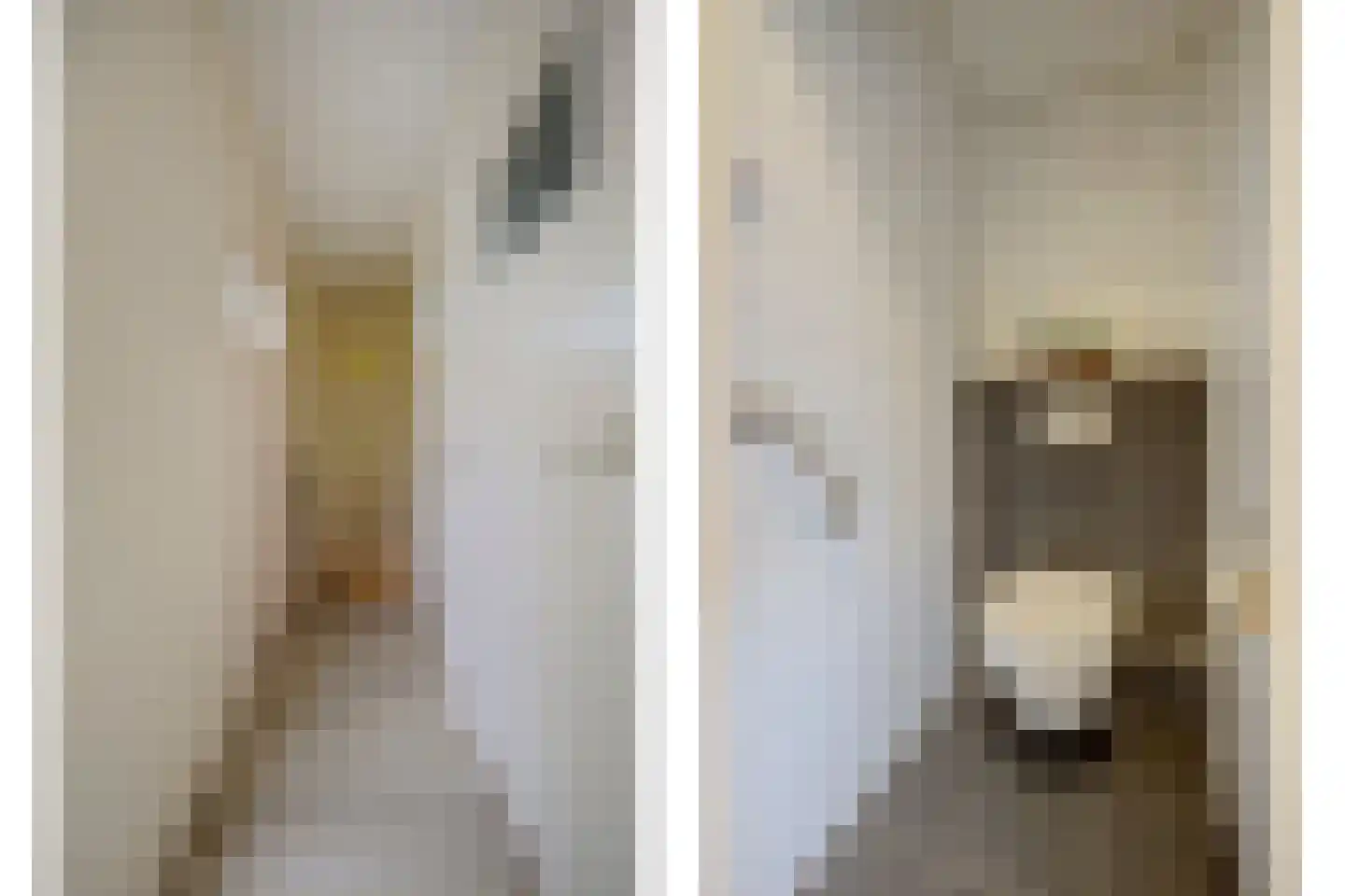 Julianastraat 37 Wehl thumbnail 20