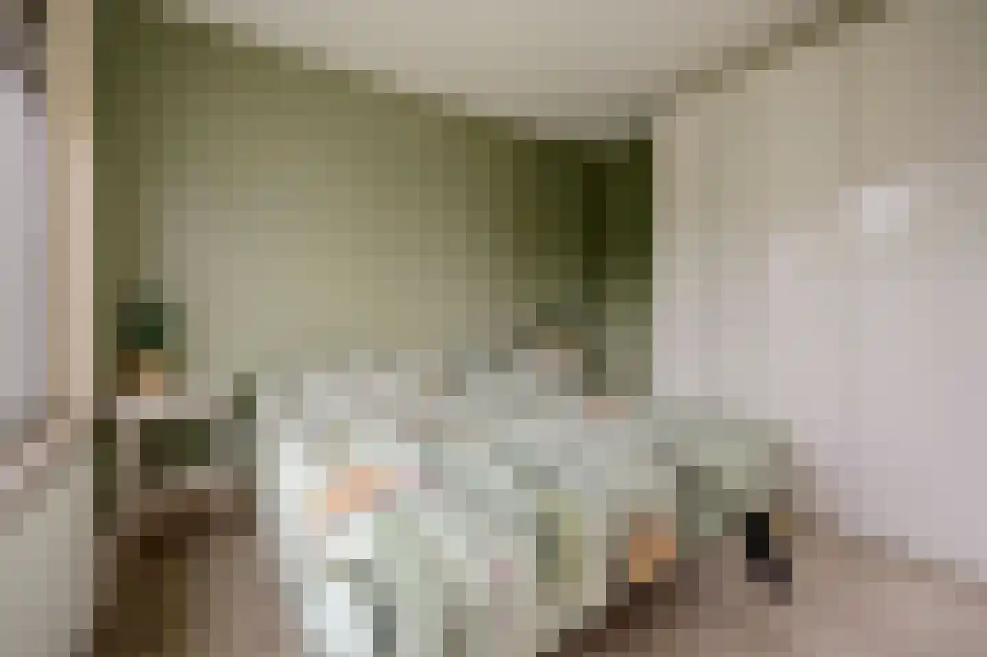 Julianastraat 37 Wehl thumbnail 22