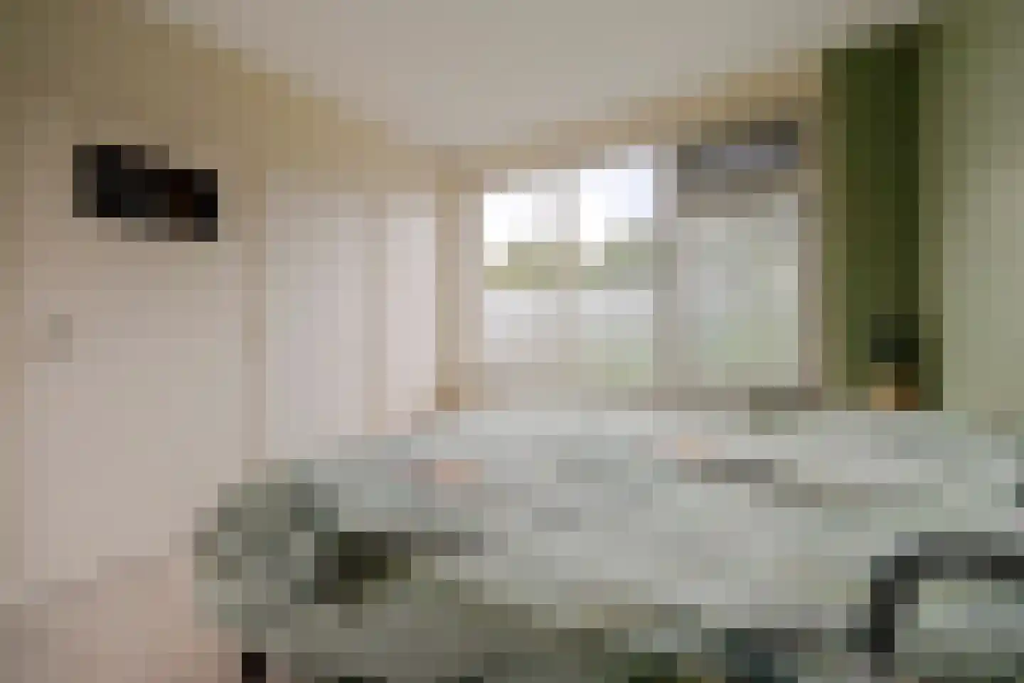 Julianastraat 37 Wehl thumbnail 23