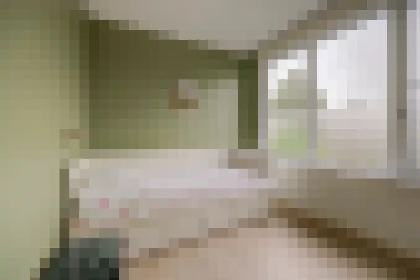 Julianastraat 37 Wehl thumbnail 24