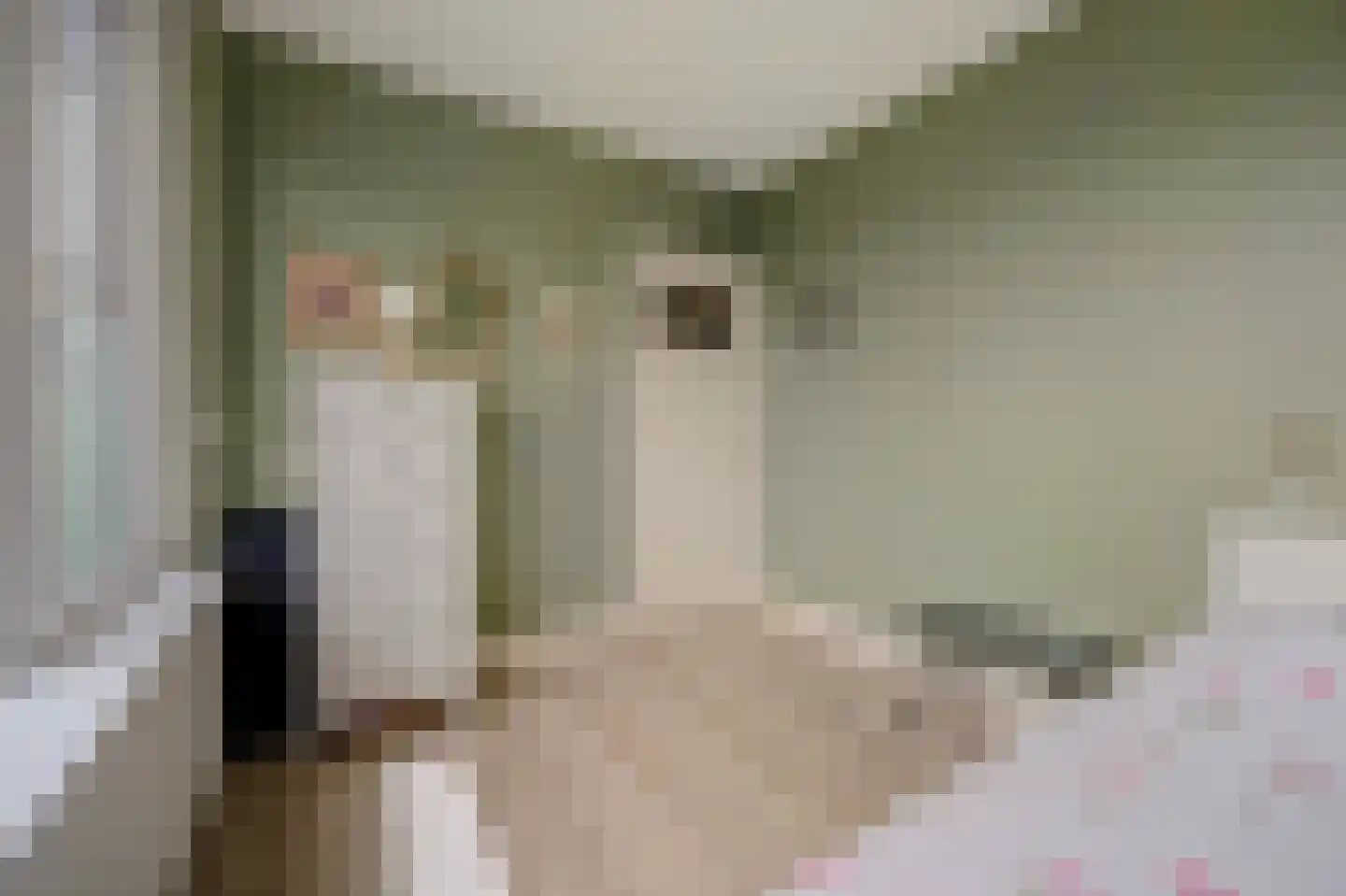 Julianastraat 37 Wehl thumbnail 25