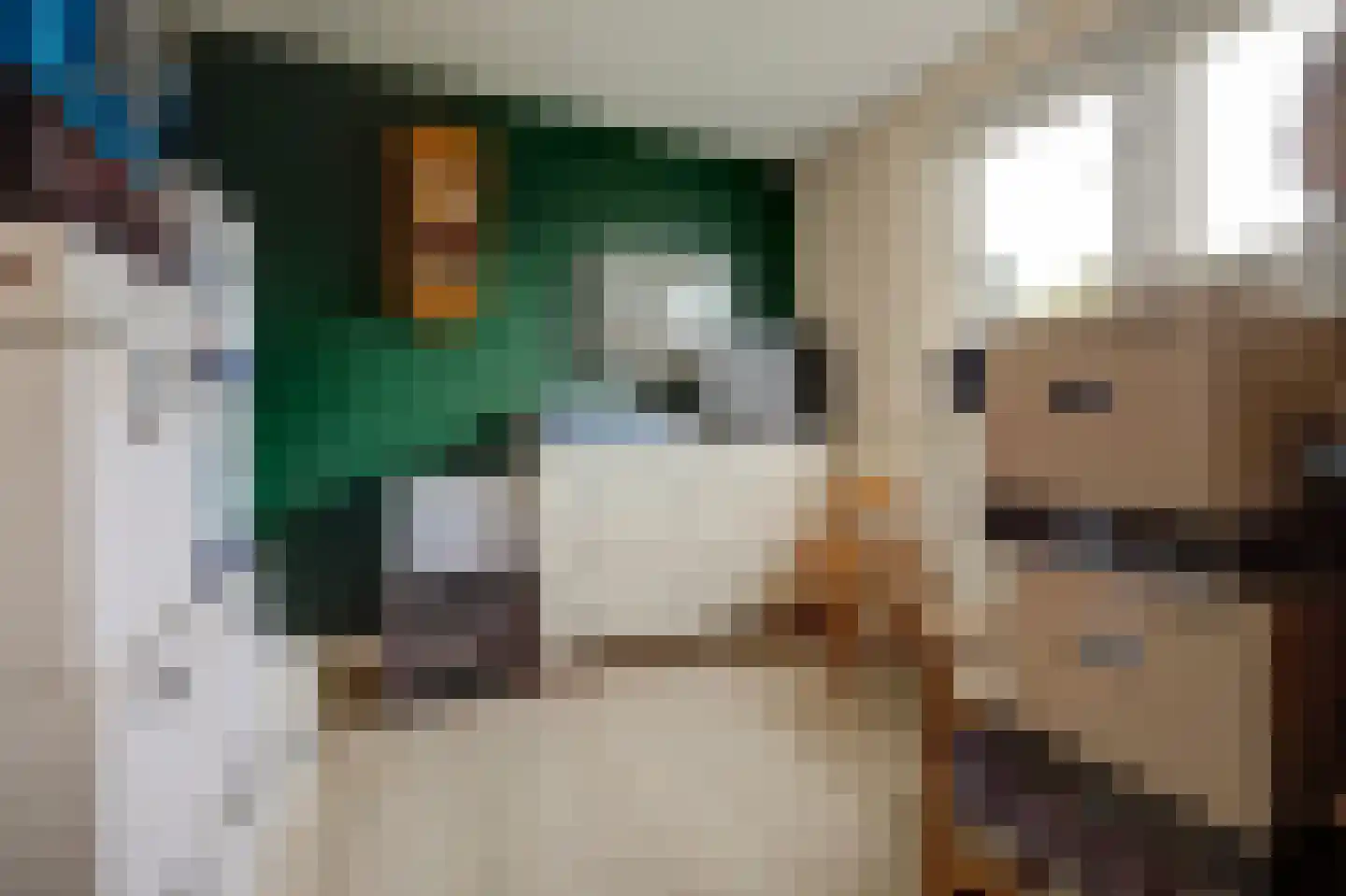 Julianastraat 37 Wehl thumbnail 26