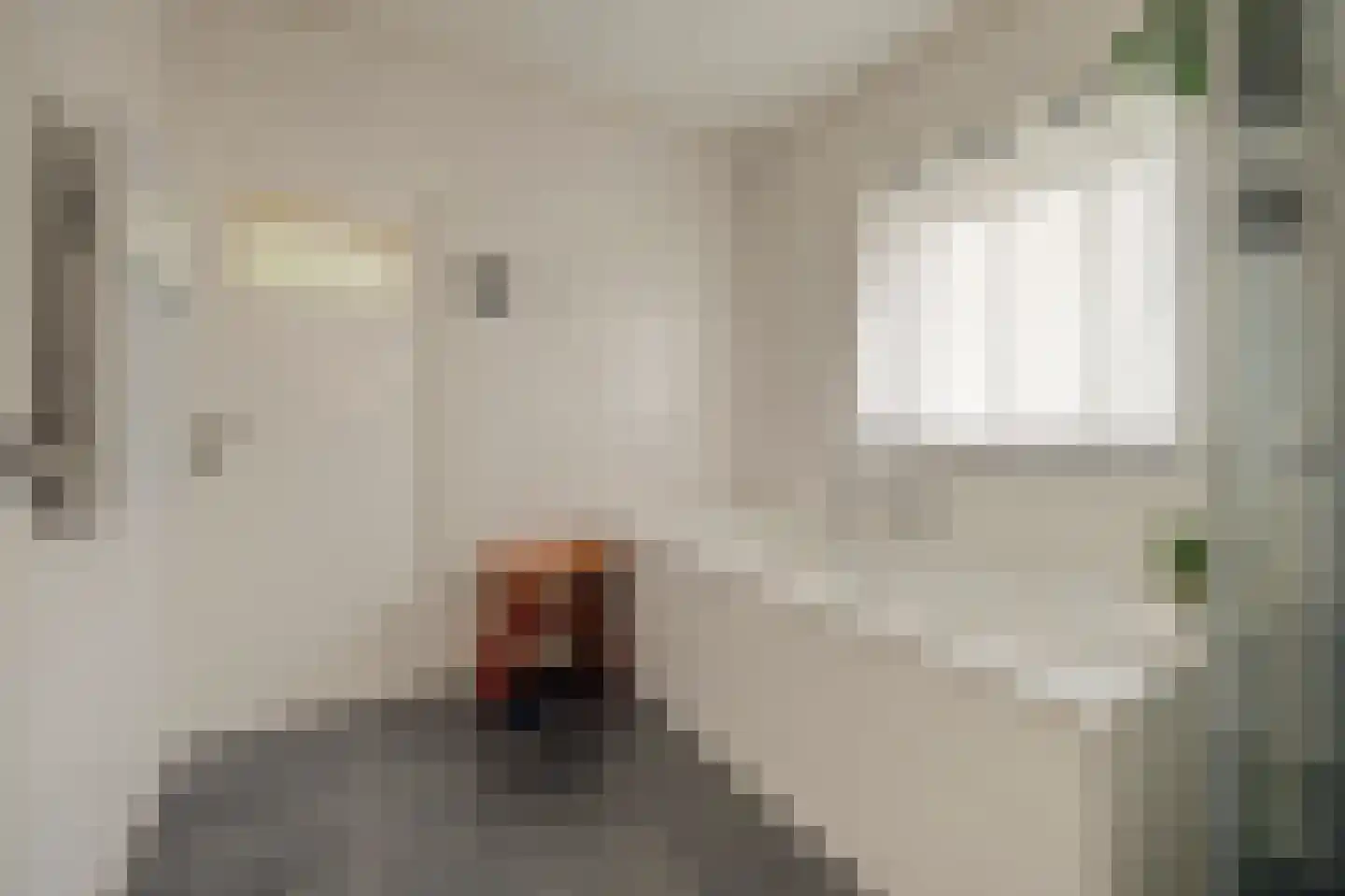 Julianastraat 37 Wehl thumbnail 29