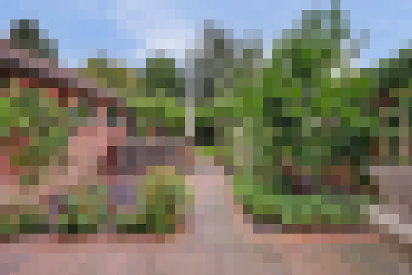 Julianastraat 37 Wehl thumbnail 36