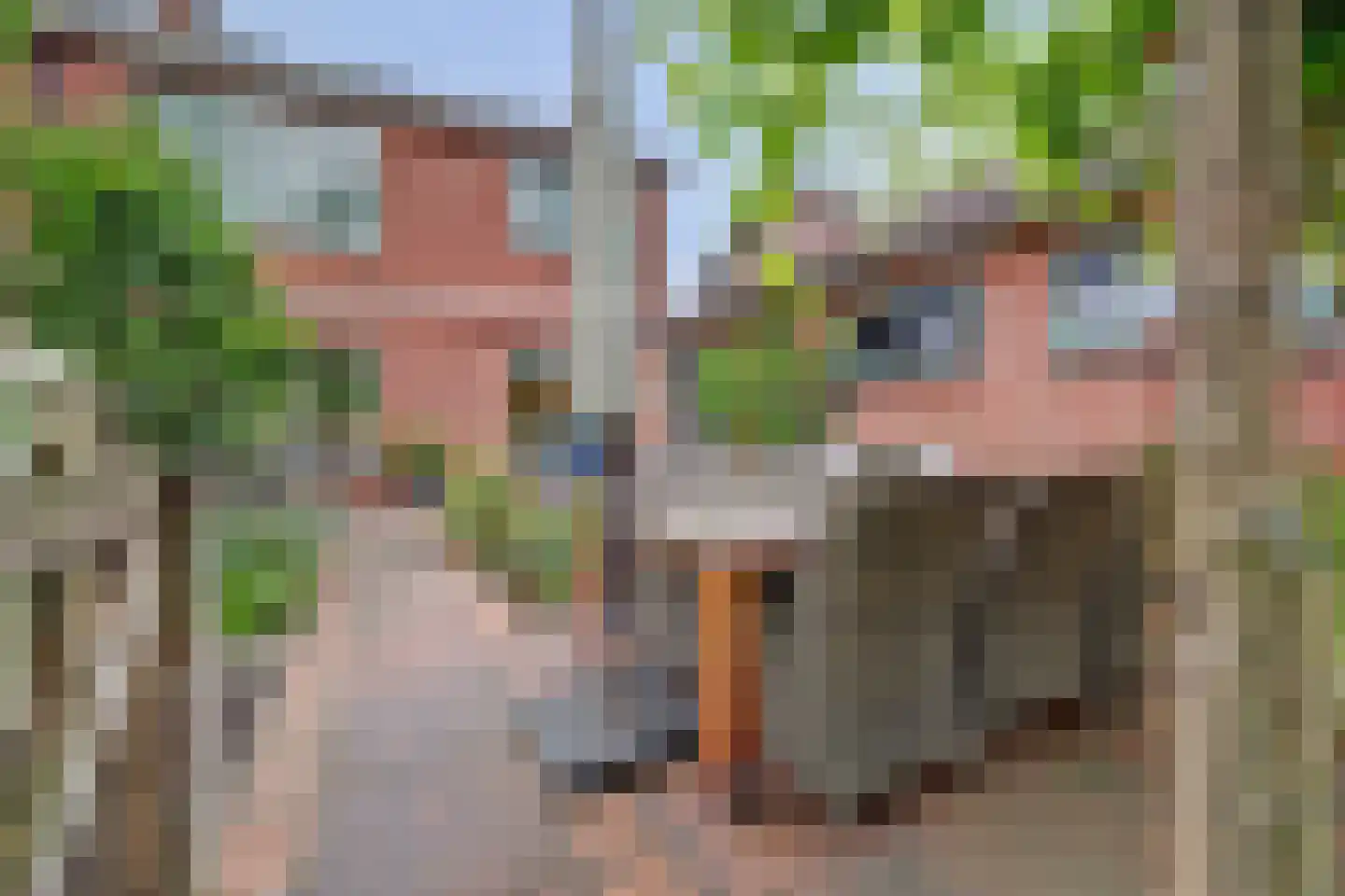 Julianastraat 37 Wehl thumbnail 38