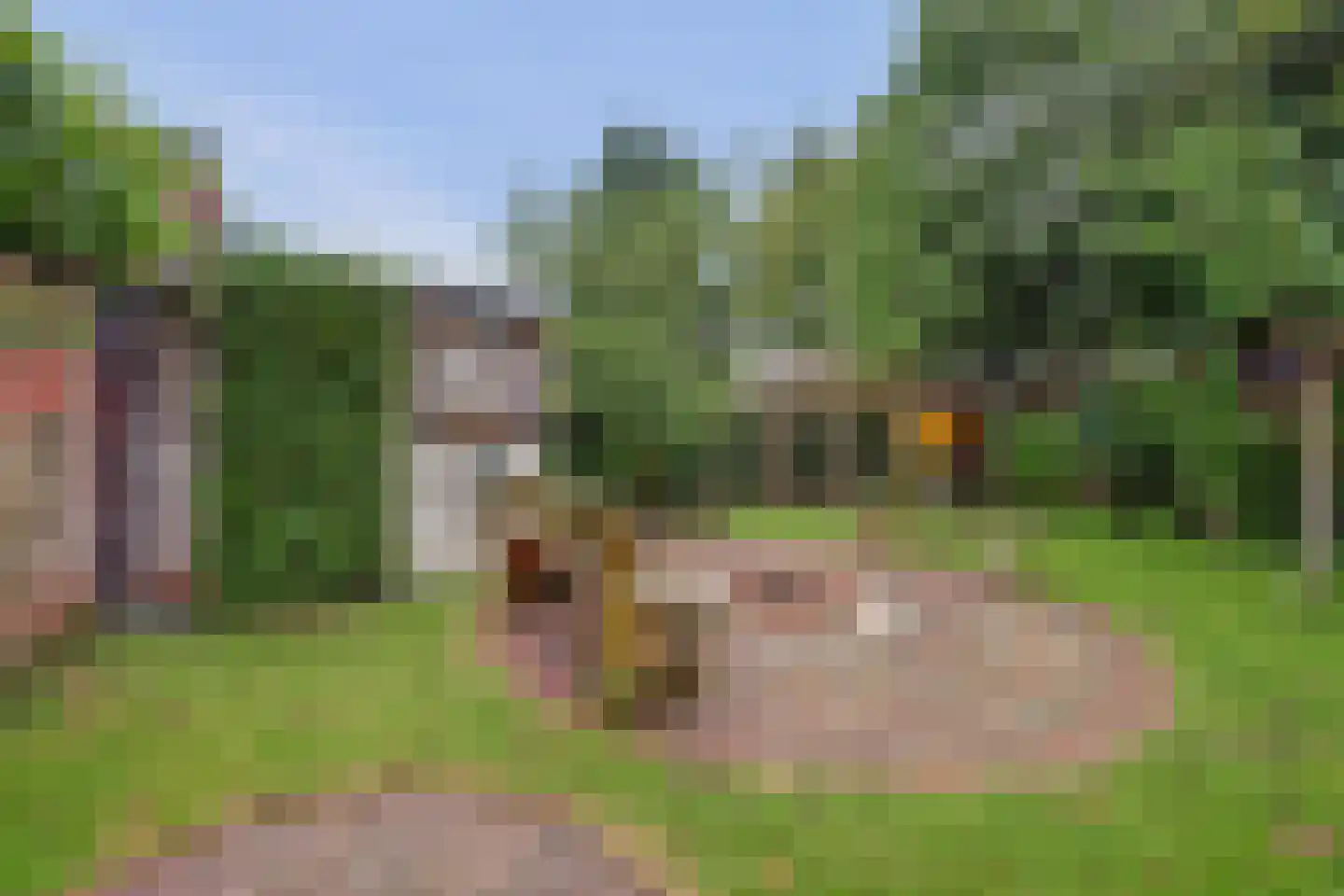 Julianastraat 37 Wehl thumbnail 39