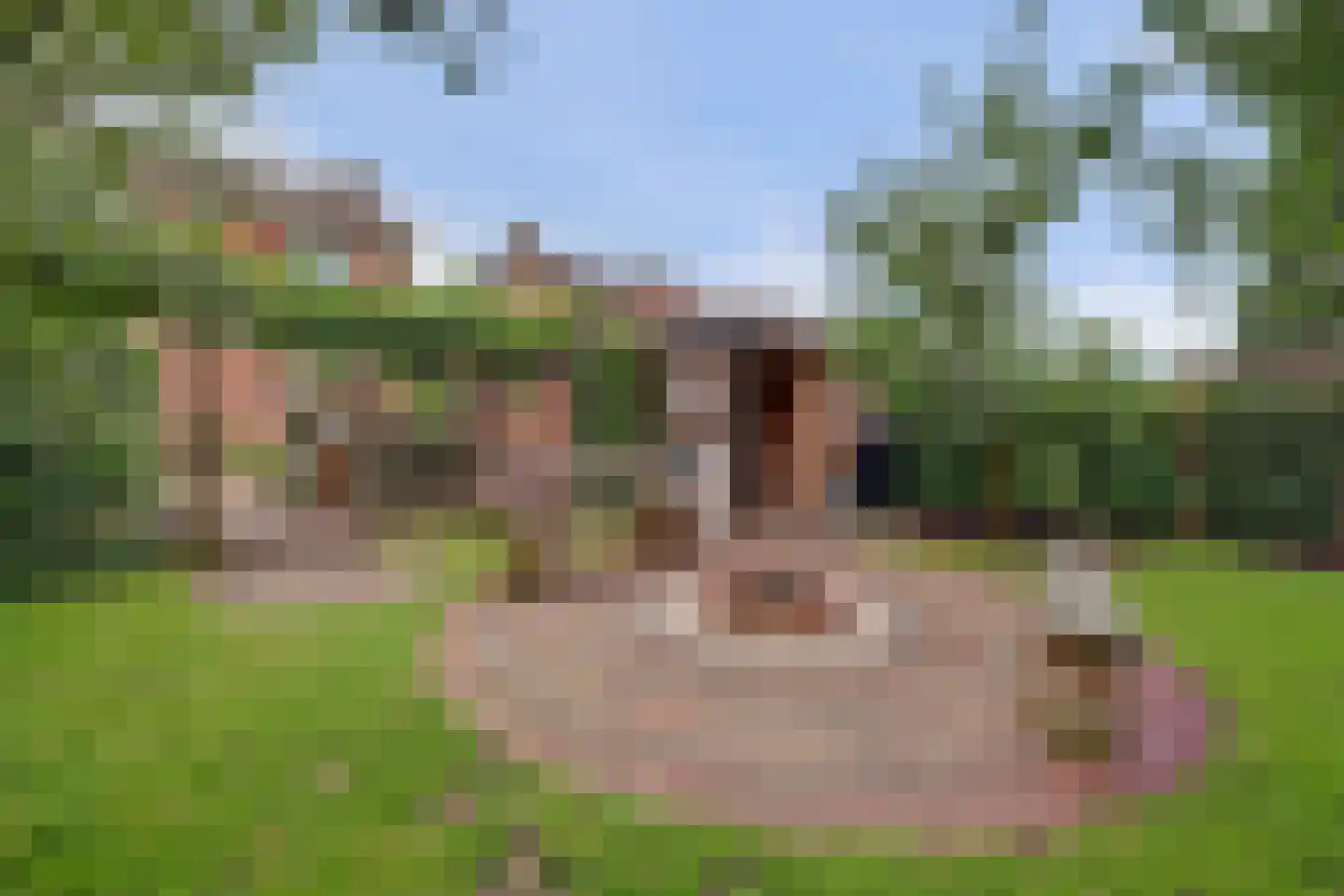 Julianastraat 37 Wehl thumbnail 40