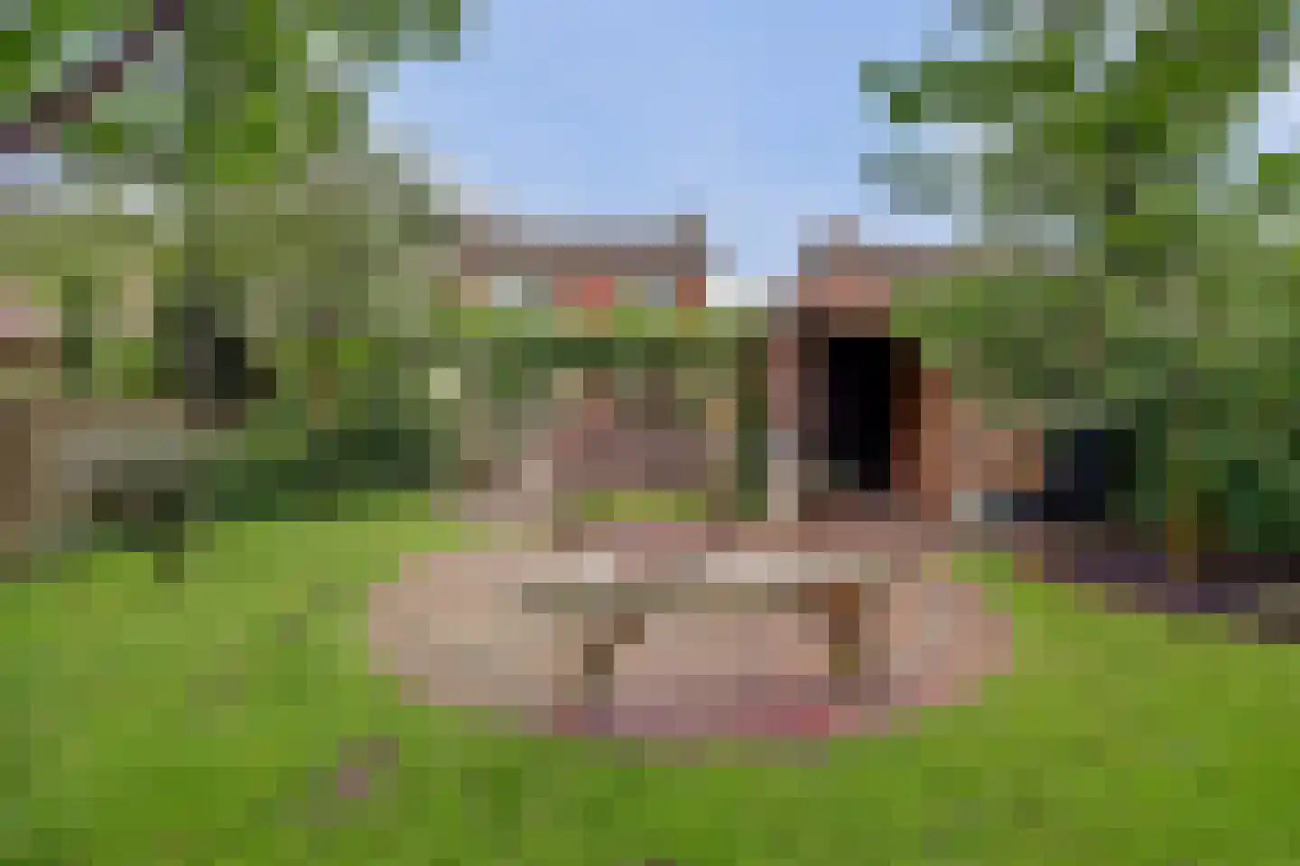 Julianastraat 37 Wehl thumbnail 41