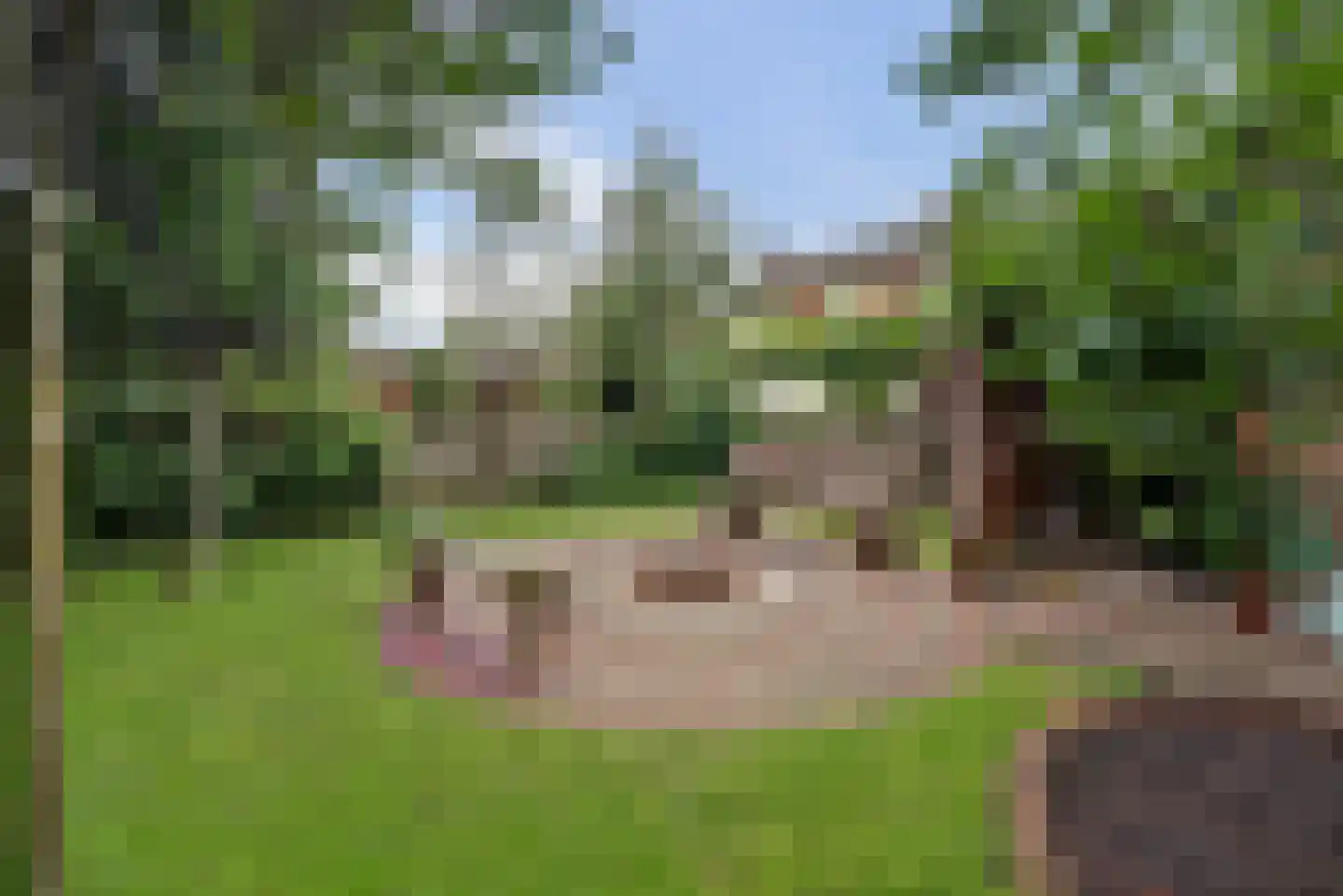 Julianastraat 37 Wehl thumbnail 42