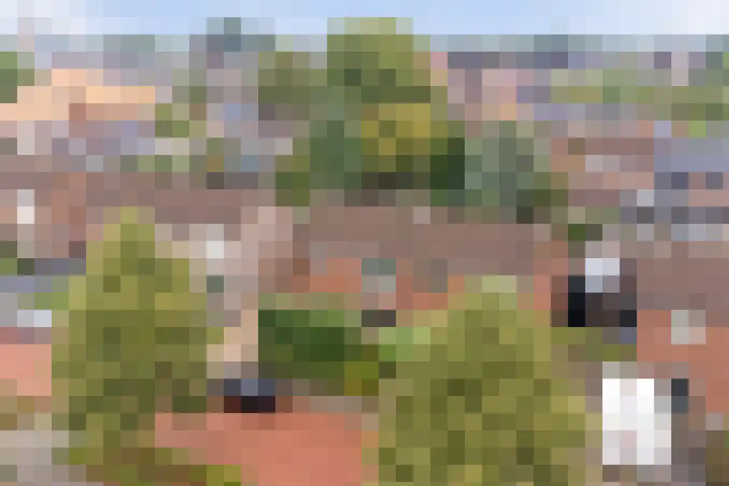 Julianastraat 37 Wehl thumbnail 48