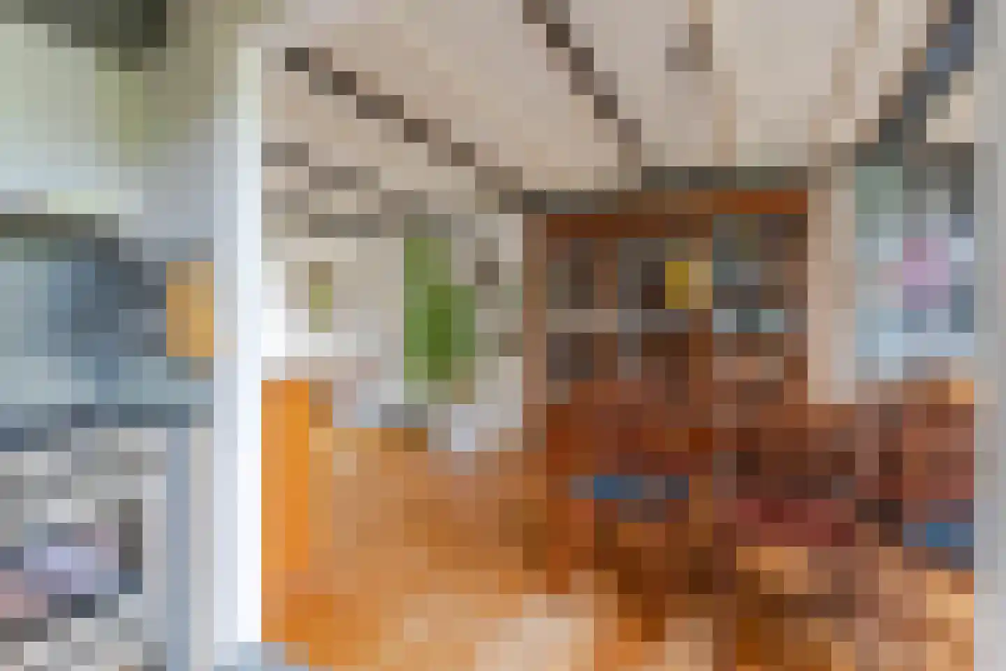 Julianastraat 38 Boskoop thumbnail 10