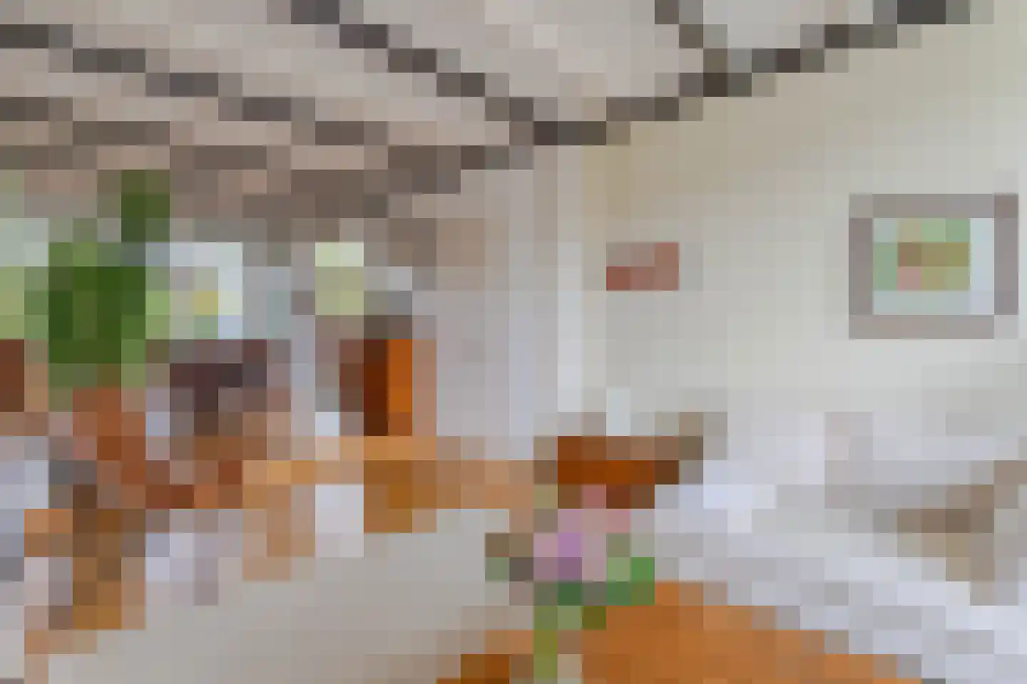 Julianastraat 38 Boskoop thumbnail 4