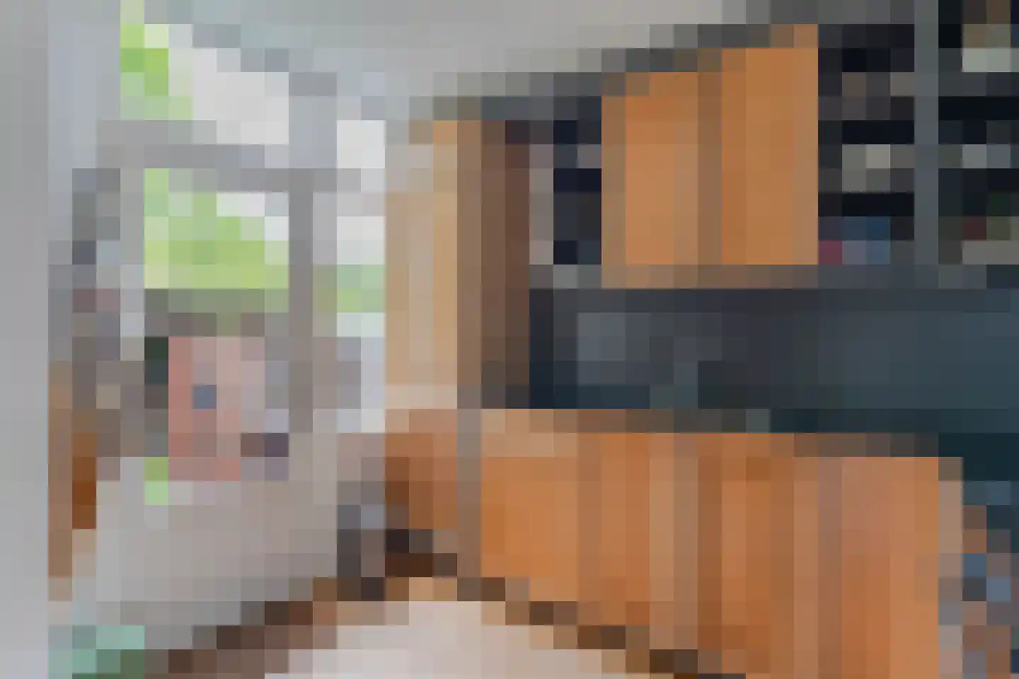 Julianastraat 38 Boskoop thumbnail 7