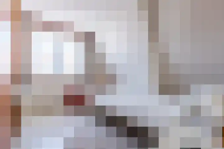 Julianastraat 38 Egmond aan Zee thumbnail 24