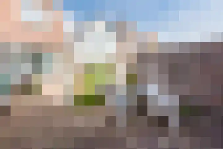 Julianastraat 38 Egmond aan Zee thumbnail 43