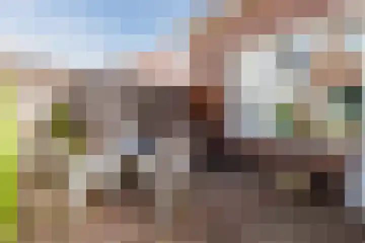 Julianastraat 38 Egmond aan Zee thumbnail 44
