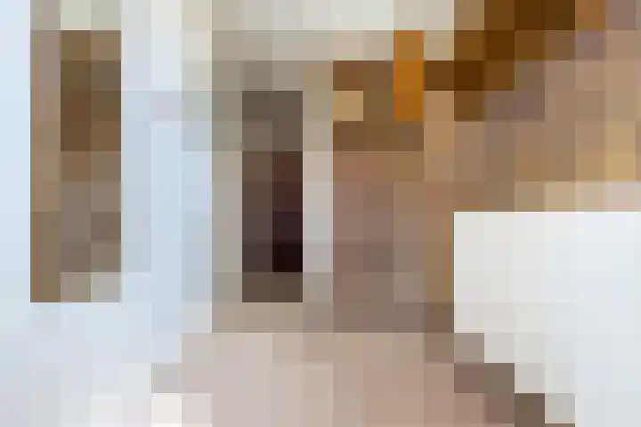 Julianastraat 38 Egmond aan Zee thumbnail 6