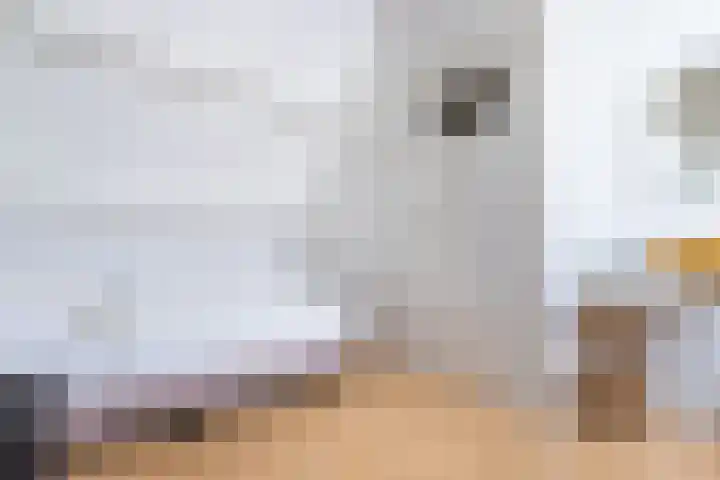 Julianastraat 38 Egmond aan Zee thumbnail 67