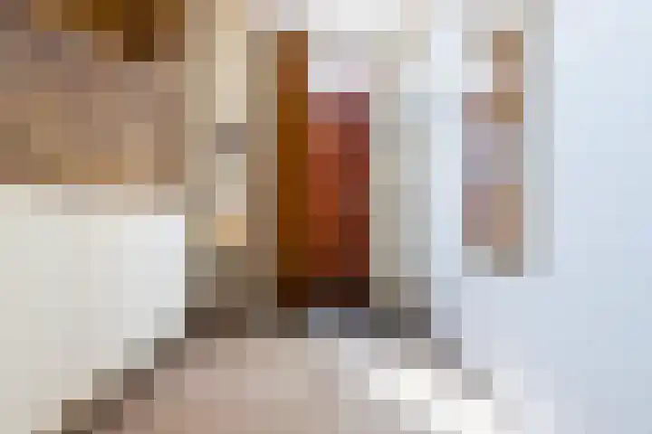 Julianastraat 38 Egmond aan Zee thumbnail 7