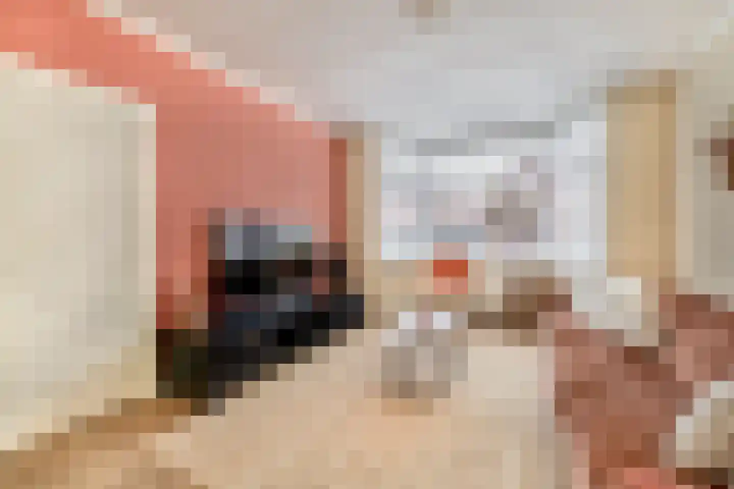 Julianastraat 38 Lisse thumbnail 10
