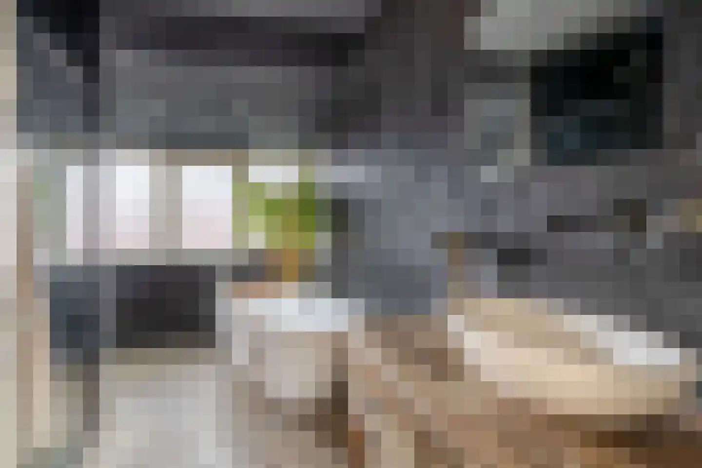 Julianastraat 38 Lisse thumbnail 18