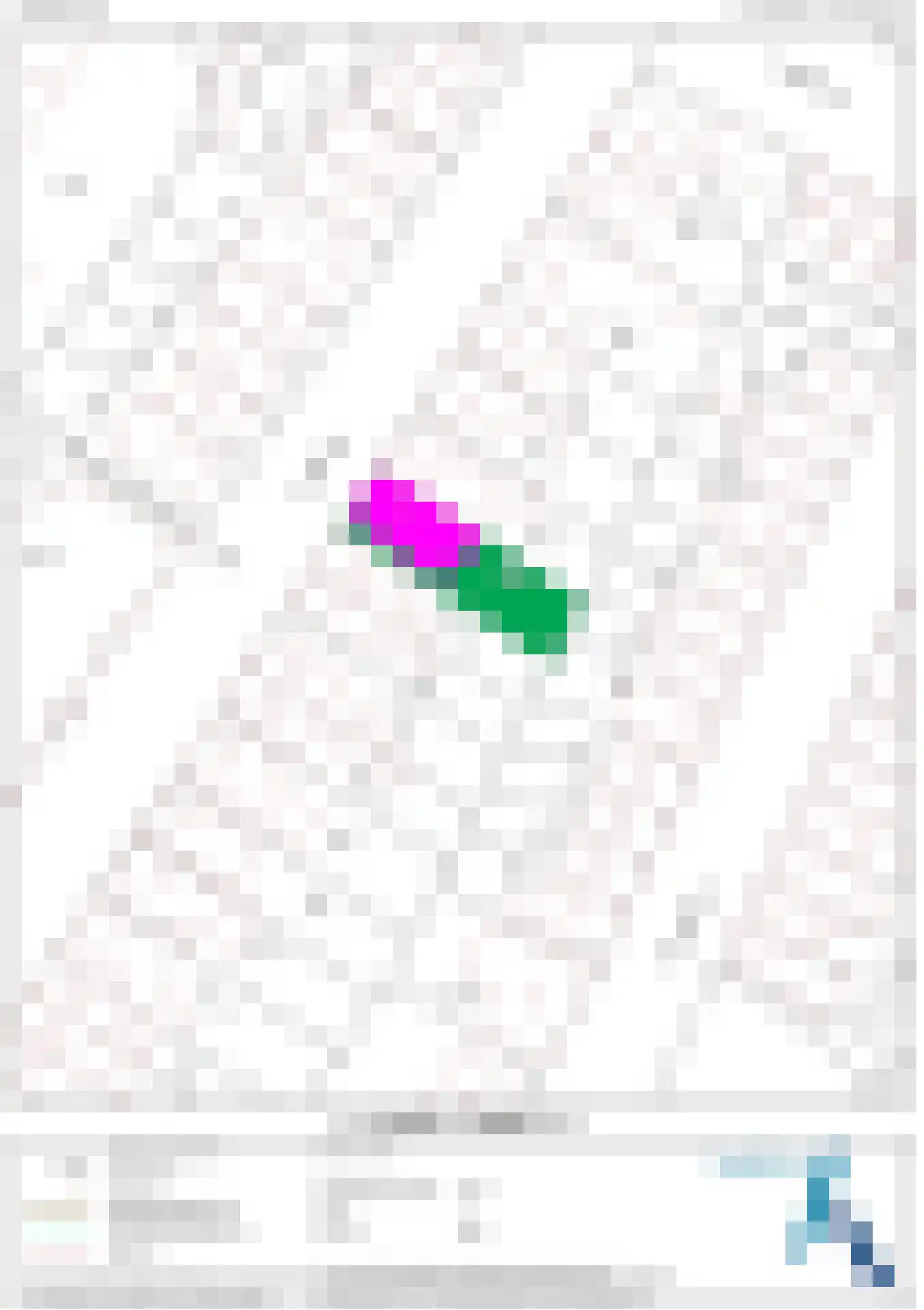 Julianastraat 38 Lisse thumbnail 47