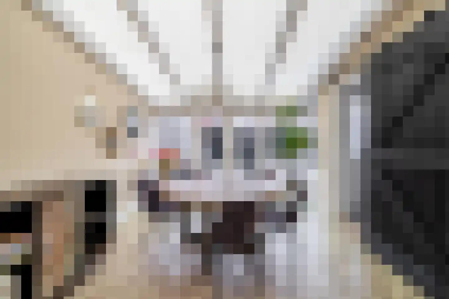 Julianastraat 38 Lisse thumbnail 6