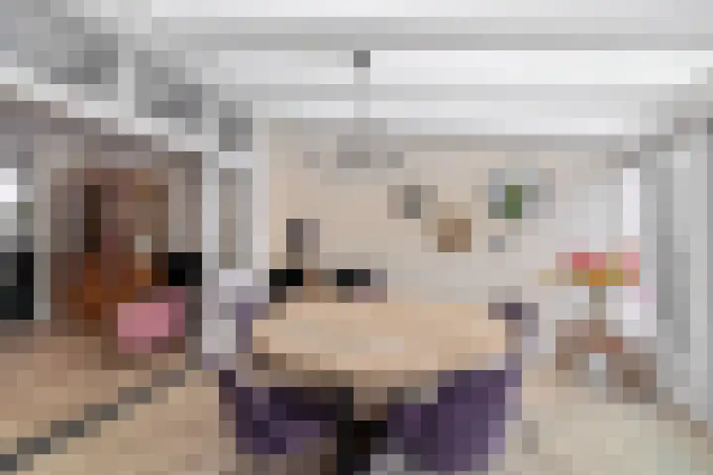 Julianastraat 38 Lisse thumbnail 7