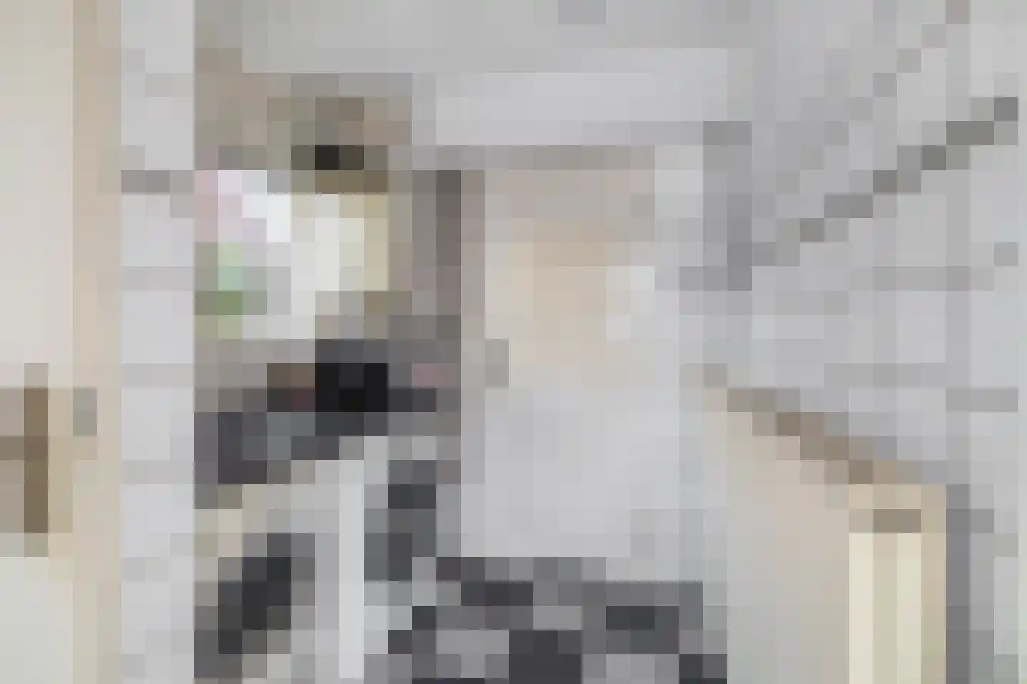 Julianastraat 38 Lisse thumbnail 8